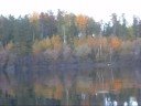 Trophy Moose Hunting with Amik Outposts in Red Lake Ontario
