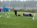 Rockys hopp DQ i Tidaholm