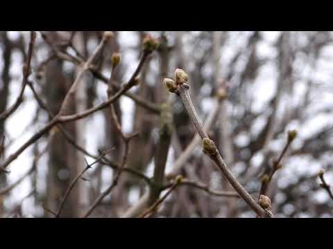 Барановичи день за днем. 12.02.20.