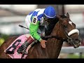 Barbaro Tribute Barbaro Tribute