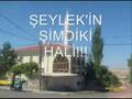 sincanlı selocan ŞEYLEK muhabbetinden çekim