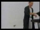 from the ranks of the english beat, here is a great song from the solo album by ranking rodger.  it is called... so excited