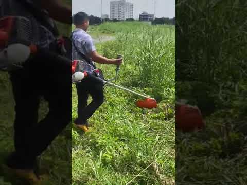 Máy cắt cỏ matsuoto CR541, BXC Walbro