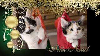 Pequenas doçuras de Natal