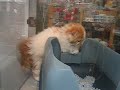 Sooo cute!!