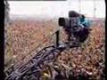 Best Stage Diving video ever