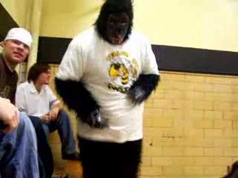 gorrila dance