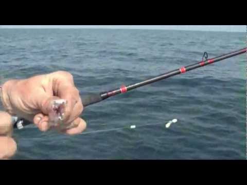 Italian Fishing TV - COLMIC - Mare - Vastar in profondità Italian Fishing TV - COLMIC - Mare - Vastar in profonditÃ