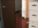 Fry the Cat:  Plays Fetch