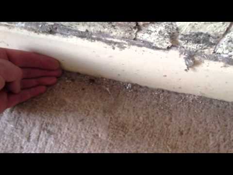 how to eliminate spiders in a house