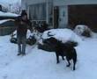 Le cave et son chien