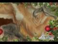 videos de Nokomis Ceramics