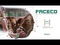 FACECO 2017