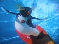 Surfs Up: cody\ Surfs Up: cody\