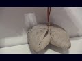 Art:21 | Elegy for Robert Rauschenberg