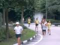 Mount Faber Run 2008 (Singapore) by market2garden