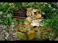 Susurros Terrario panorámico en botellón de vidrio de químico de fines de siglo XIX con cascada eléctrica y bonsai. Todo hecho a mano.