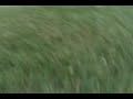 Suicides (Football Exercise)