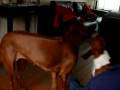 videos de P1030405.MOV