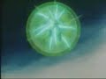 Goku and Gohan vs Broly El Super Sayayin Legendario