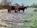 Borat drifting