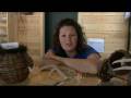 David Thompson Resort Part 1