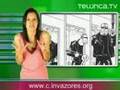 Conejos, la novia virtual y reciclaje | Telurica 419