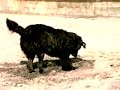 Apostasy - Cataclysm Theory MMIV