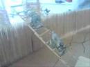 LOTR battle of helm\