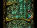 Lets Play DKC 3 The Lost Levels [3] Swoopy Salvo