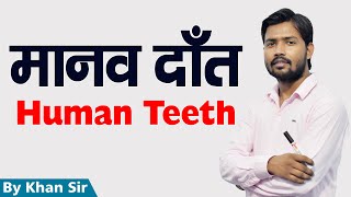 मानव दांत  Human Teeth  Biology  b