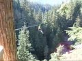 Zip Trekking in Whistler, BC with BOOMER