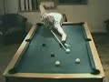 9 Ball Pool Billard Break and Run Out 9 Ball Pool Billard Break and Run Out