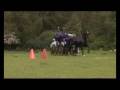 Carriage Driving With Sara Howe