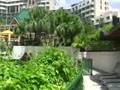 videos de Vacaciones en Orlando