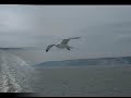 Down from Dover