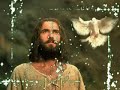 Jesus international ministry