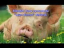 cevat babuna dan açıklamalar!!!