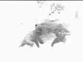 Gorilla Movie