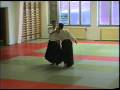 Svensk Aikido 030111 Jan Nevelius 2
