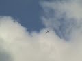 SZD 50-3 Puchacz