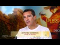 Movie Juice - Summer Blockbuster PUSS IN BOOTS - Coming to Australian Cinema's