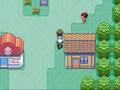 Pkmn Emerald Poochyena Only Run - Catching Poochyena