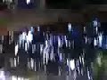 las trepadoras