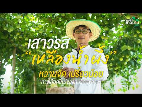 “เสาวรสเหลืองน้ำผึ้ง” หวานจัด เปรี้ยวน้อย ทางเลือกใหม่ของคนรักสุขภาพ