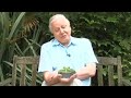 Sir David Attenborough’s frog message