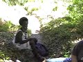 roots reggae from the mountains of kingston jamaica