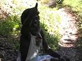 roots reggae from the mountains of kingston jamaica