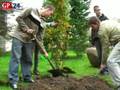 videos de Uczniowie z Ustki zasadzili drzewa pamięci