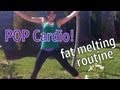 POP CARDIO: Fat Melting Routine